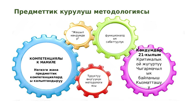 Предметтик курулуш методологиясы функционалдык сабаттуулук 