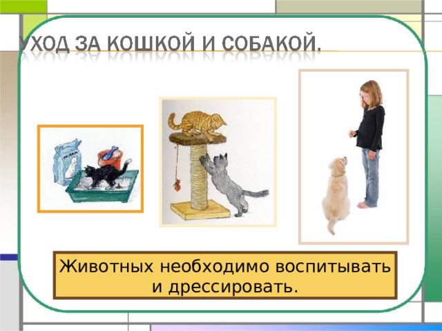 Животных необходимо воспитывать и дрессировать. 