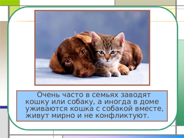   Очень часто в семьях заводят кошку или собаку, а иногда в доме уживаются кошка с собакой вместе, живут мирно и не конфликтуют. 