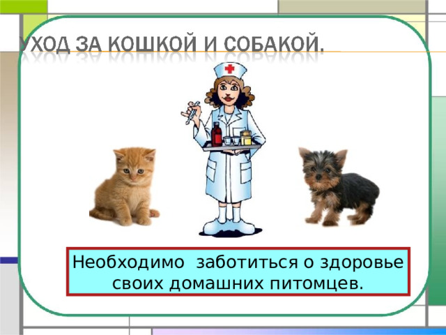 Необходимо заботиться о здоровье своих домашних питомцев. 