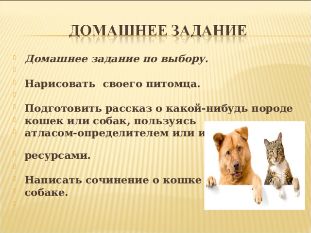 Домашнее задание по выбору.   Нарисовать своего питомца.    Подготовить рассказ о какой-нибудь породе кошек или собак, пользуясь атласом-определителем или интернет ресурсами.   Написать сочинение о кошке или собаке.   