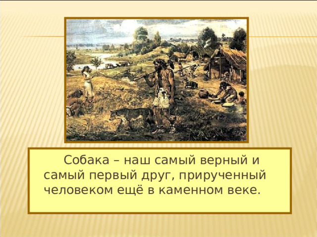   Собака – наш самый верный и самый первый друг, прирученный человеком ещё в каменном веке. 
