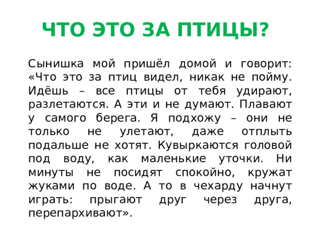 ЧТО ЭТО ЗА ПТИЦЫ?  Сынишка мой пришёл домой и говорит: «Что это за птиц видел, никак не пойму. Идёшь – все птицы от тебя удирают, разлетаются. А эти и не думают. Плавают у самого берега. Я подхожу – они не только не улетают, даже отплыть подальше не хотят. Кувыркаются головой под воду, как маленькие уточки. Ни минуты не посидят спокойно, кружат жуками по воде. А то в чехарду начнут играть: прыгают друг через друга, перепархивают». 