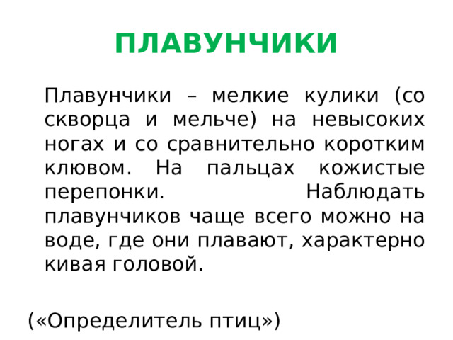 ПЛАВУНЧИКИ  Плавунчики – мелкие кулики (со скворца и мельче) на невысоких ногах и со сравнительно коротким клювом. На пальцах кожистые перепонки. Наблюдать плавунчиков чаще всего можно на воде, где они плавают, характерно кивая головой. («Определитель птиц») 
