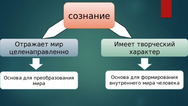 сознание Отражает мир целенаправленно Имеет творческий характер Основа для формирования внутреннего мира человека Основа для преобразования мира 