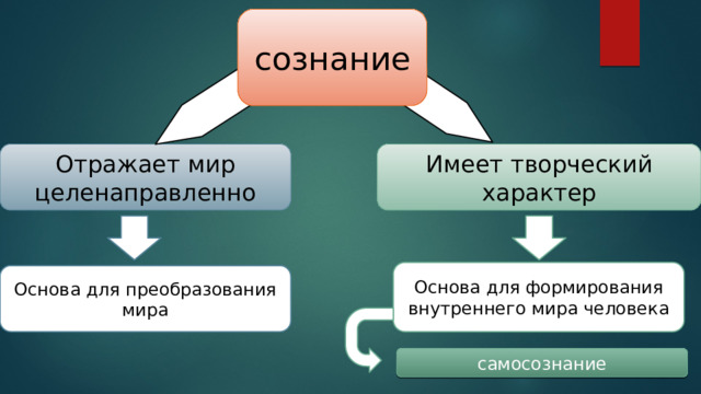 сознание Отражает мир целенаправленно Имеет творческий характер Основа для формирования внутреннего мира человека Основа для преобразования мира самосознание 