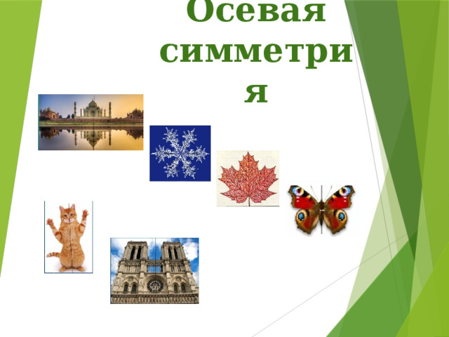 Осевая симметрия 