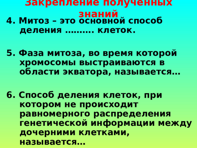  Интерфаза (подготовка к митозу) Профаза Метафаза Анафаза Телофаза 