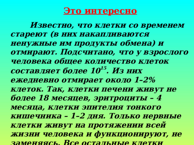  Это интересно  Известно, что клетки со временем стареют (в них накапливаются ненужные им продукты обмена) и отмирают. Подсчитано, что у взрослого человека общее количество клеток составляет более 10 15 . Из них ежедневно отмирает около 1–2% клеток. Так, клетки печени живут не более 18 месяцев, эритроциты – 4 месяца, клетки эпителия тонкого кишечника – 1–2 дня. Только нервные клетки живут на протяжении всей жизни человека и функционируют, не заменяясь. Все остальные клетки человека заменяются новыми приблизительно каждые 7 лет. 