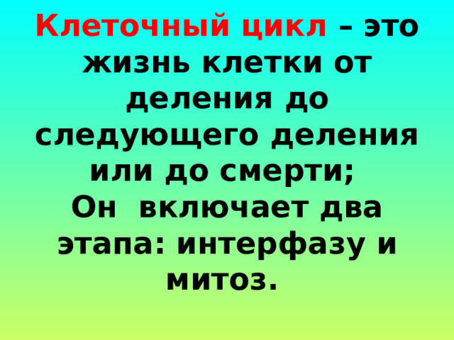 Клеточный цикл – это жизнь клетки от деления до следующего деления или до смерти;   Он включает два этапа: интерфазу и митоз.  