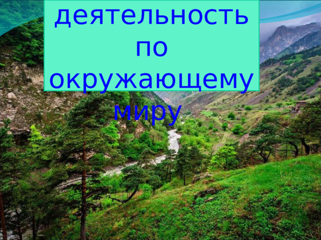 Проектная деятельность по окружающему миру 