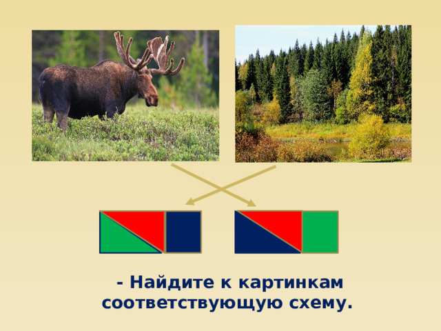 - Найдите к картинкам соответствующую схему. 