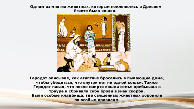 Одним из многих животных, которым поклонялись в Древнем Египте была кошка. Геродот описывал, как египтяне бросались в пылающие дома, чтобы убедиться, что внутри нет ни одной кошки. Также Геродот писал, что после смерти кошки семья пребывала в трауре и сбривала себе брови в знак скорби. Были особые кладбища, где священных животных хоронили по особым правилам. 