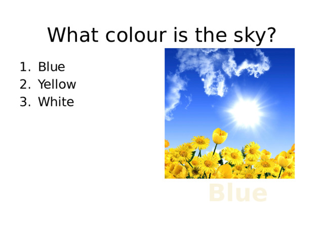 What colour is the sky? Blue Yellow White Blue 