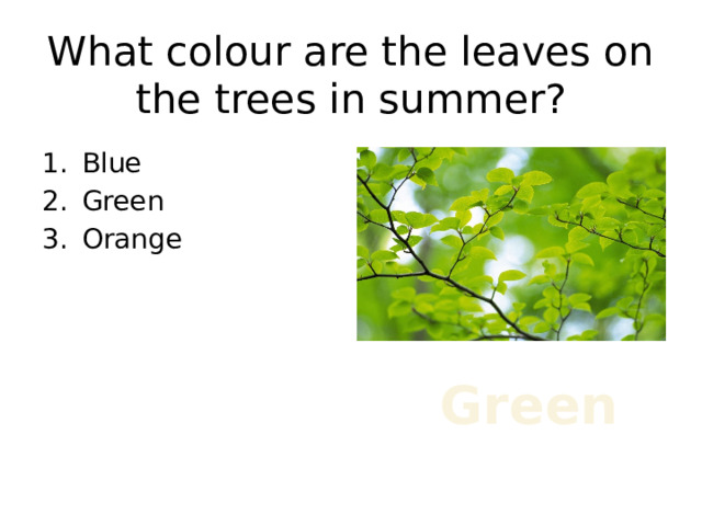 What colour are the leaves on the trees in summer? Blue Green Orange Green 