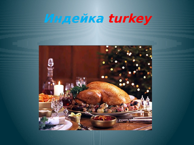Индейка turkey 