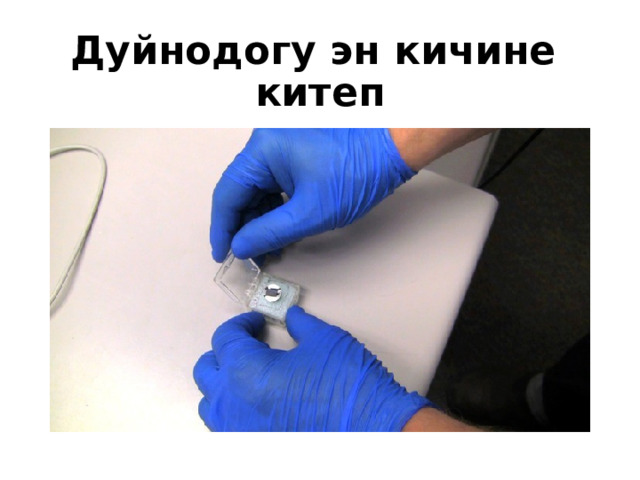 Дуйнодогу эн кичине китеп 