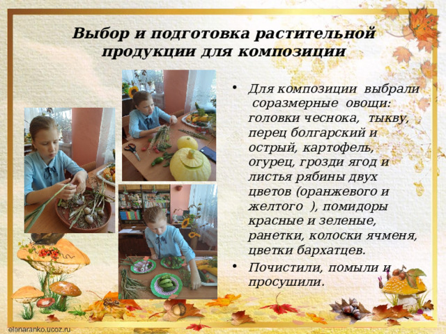 Выбор и подготовка растительной продукции для композиции Для композиции выбрали соразмерные овощи: головки чеснока, тыкву, перец болгарский и острый, картофель, огурец, грозди ягод и листья рябины двух цветов (оранжевого и желтого ), помидоры красные и зеленые, ранетки, колоски ячменя, цветки бархатцев. Почистили, помыли и просушили. 