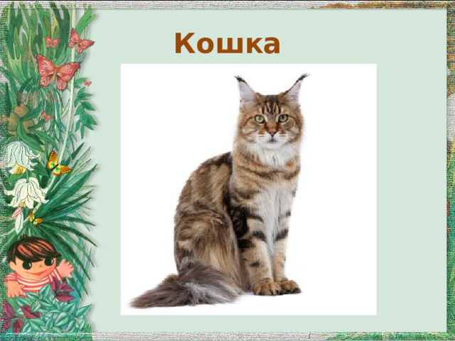Кошка 