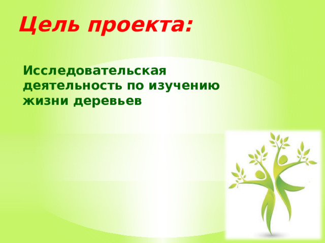 Цель проекта: Исследовательская деятельность по изучению жизни деревьев 