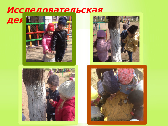 Исследовательская деятельность 