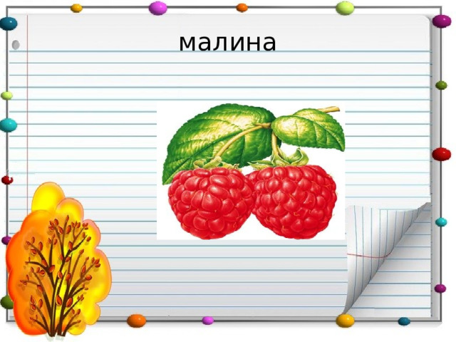 малина 