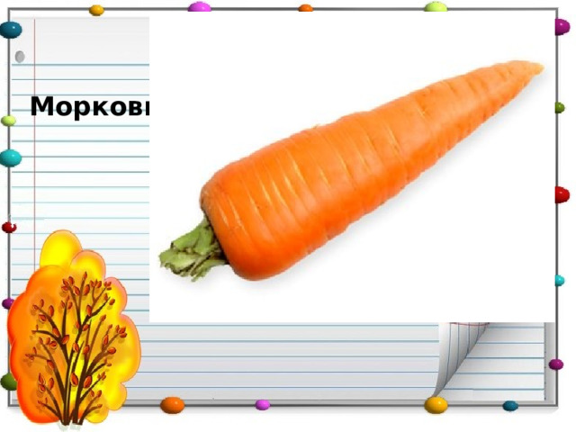 Морковь 