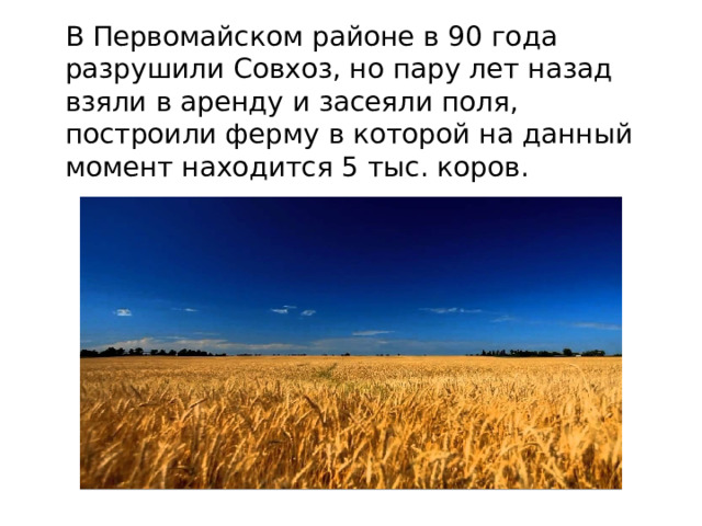 В Первомайском районе в 90 года разрушили Совхоз, но пару лет назад взяли в аренду и засеяли поля, построили ферму в которой на данный момент находится 5 тыс. коров. 