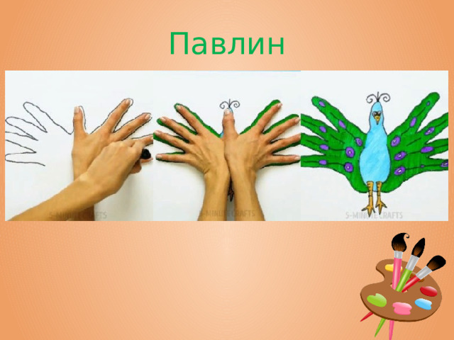 Павлин 