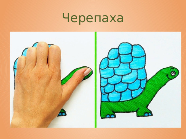 Черепаха 