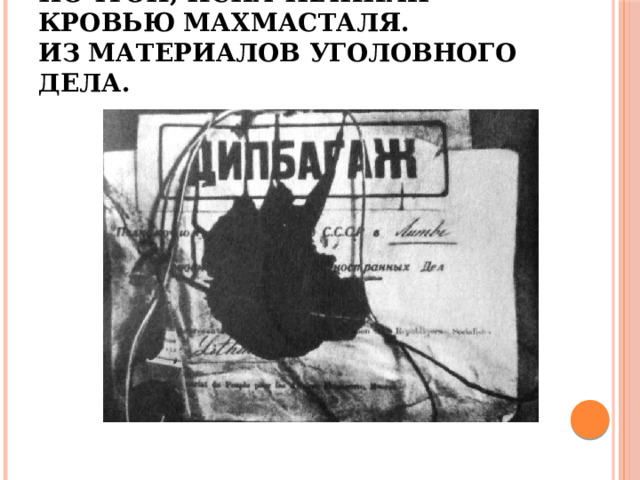 Сумка с дипломатической почтой, испачканная кровью Махмасталя.  Из материалов уголовного дела. 