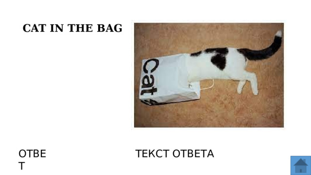 CAT IN THE BAG ОТВЕТ ТЕКСТ ОТВЕТА  