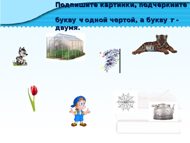 Подпишите картинки, подчеркните  букву ч одной чертой, а букву т - двумя. 