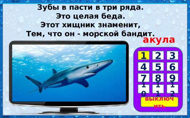 Зубы в пасти в три ряда.  Это целая беда.  Этот хищник знаменит,  Тем, что он - морской бандит. акула 3 1 2 6 5 4 7 8 9 10 11 12 выключить 