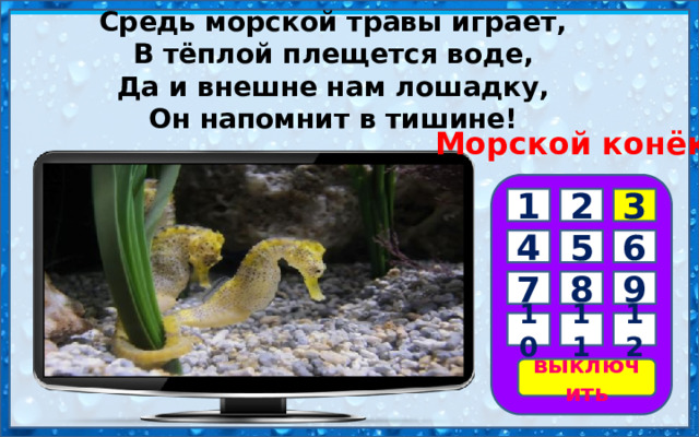 Морской конёк Средь морской травы играет, В тёплой плещется воде, Да и внешне нам лошадку, Он напомнит в тишине!        1 2 3 6 4 5 9 8 7 10 11 12 выключить 