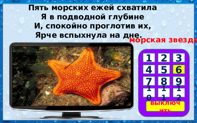 Пять морских ежей схватила   Я в подводной глубине   И, спокойно проглотив их,   Ярче вспыхнула на дне.        морская звезда 3 1 2 6 5 4 7 8 9 10 11 12 выключить 