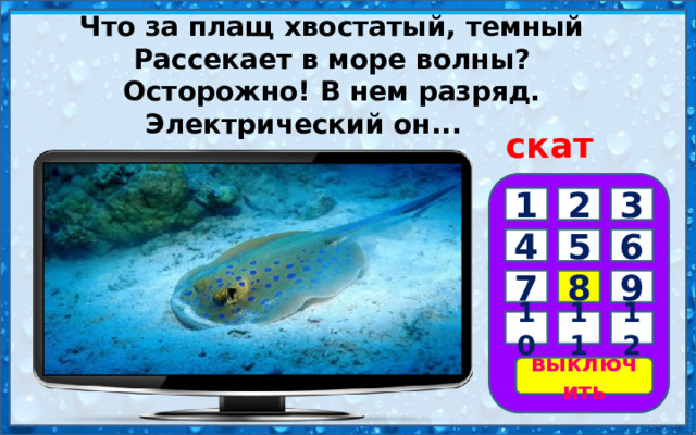 Что за плащ хвостатый, темный  Рассекает в море волны?  Осторожно! В нем разряд.  Электрический он...         скат 3 2 1 5 4 6 7 8 9 10 11 12 выключить 