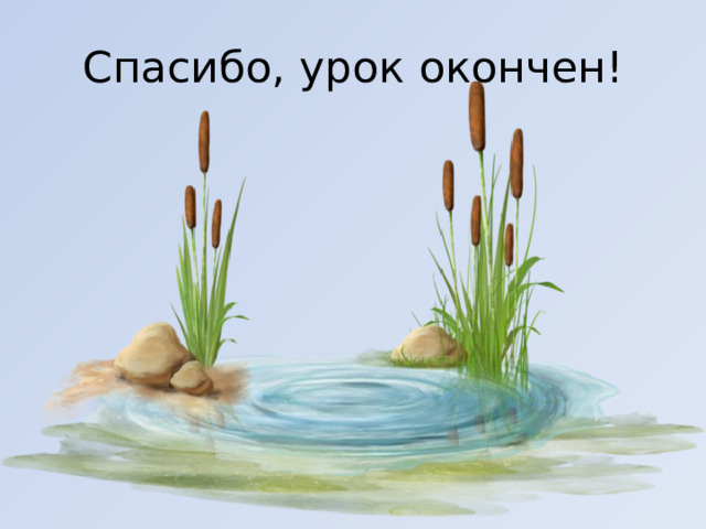 Спасибо, урок окончен! 