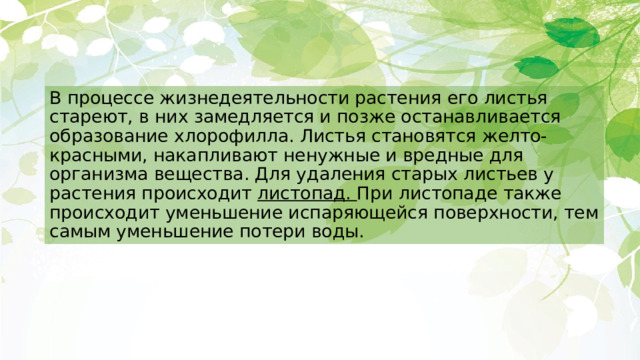 В процессе жизнедеятельности растения его листья стареют, в них замедляется и позже останавливается образование хлорофилла. Листья становятся желто-красными, накапливают ненужные и вредные для организма вещества. Для удаления старых листьев у растения происходит листопад. При листопаде также происходит уменьшение испаряющейся поверхности, тем самым уменьшение потери воды. 