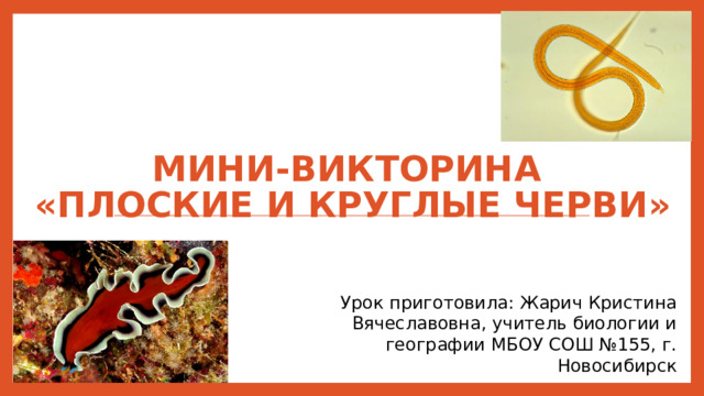 Мини-викторина  «Плоские и круглые черви» Урок приготовила: Жарич Кристина Вячеславовна, учитель биологии и географии МБОУ СОШ №155, г. Новосибирск 