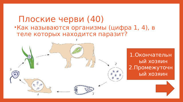 Плоские черви (40) Как называются организмы (цифра 1, 4), в теле которых находится паразит? Окончательный хозяин Промежуточный хозяин 