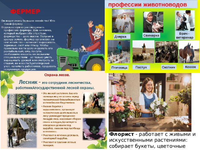 Флорист - работает с живыми и искусственными растениями: собирает букеты, цветочные композиции 