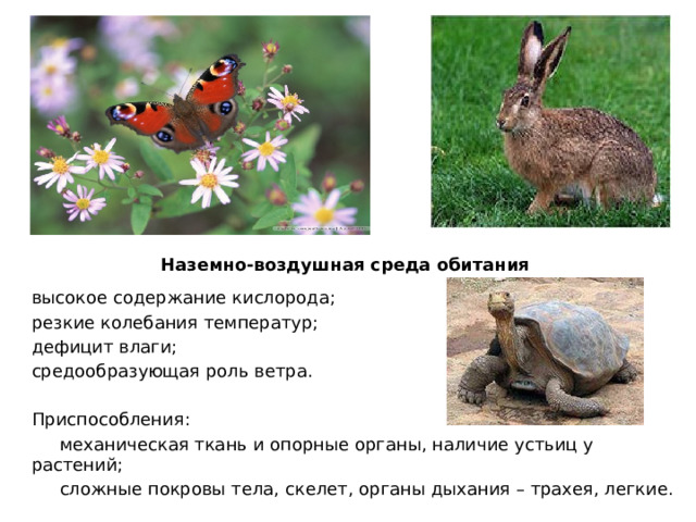 Наземно-воздушная среда обитания высокое содержание кислорода; резкие колебания температур; дефицит влаги; средообразующая роль ветра. Приспособления:  механическая ткань и опорные органы, наличие устьиц у растений;  сложные покровы тела, скелет, органы дыхания – трахея, легкие. 