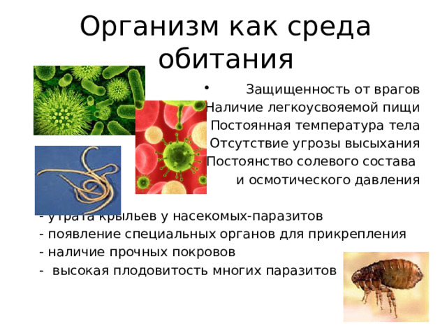 Организм как среда обитания Защищенность от врагов Наличие легкоусвояемой пищи Постоянная температура тела Отсутствие угрозы высыхания Постоянство солевого состава и осмотического давления  - утрата крыльев у насекомых-паразитов  - появление специальных органов для прикрепления  - наличие прочных покровов  - высокая плодовитость многих паразитов   