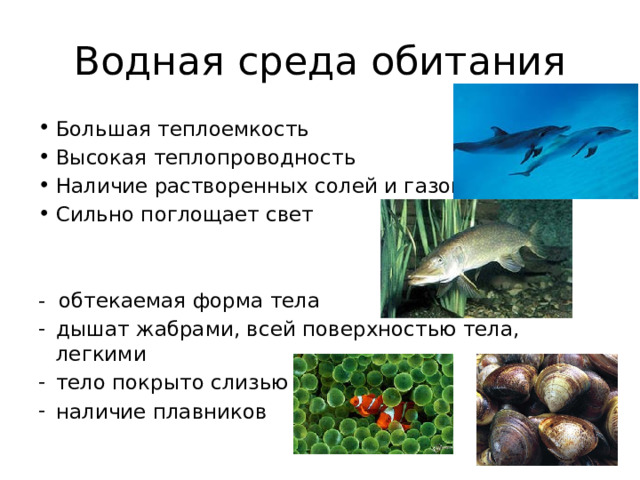 Водная среда обитания Большая теплоемкость Высокая теплопроводность Наличие растворенных солей и газов Сильно поглощает свет - обтекаемая форма тела дышат жабрами, всей поверхностью тела, легкими тело покрыто слизью наличие плавников 