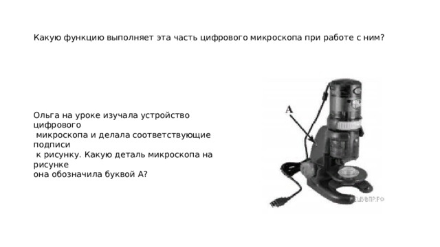 Какую функцию выполняет эта часть цифрового микроскопа при работе с ним? Ольга на уроке изучала устройство цифрового  микроскопа и делала соответствующие подписи  к рисунку. Какую деталь микроскопа на рисунке она обозначила буквой А? 