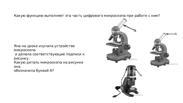 Какую функцию выполняет эта часть цифрового микроскопа при работе с ним? Яна на уроке изучала устройство микроскопа  и делала соответствующие подписи к рисунку. Какую деталь микроскопа на рисунке она обозначила буквой А? 