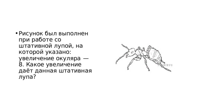 Рисунок был выполнен при работе со штативной лупой, на которой указано: увеличение окуляра  — 8. Какое увеличение даёт данная штативная лупа? 