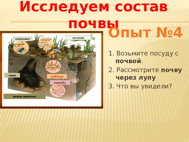 Исследуем состав почвы Опыт №4 1. Возьмите посуду с почвой . 2. Рассмотрите почву через лупу 3. Что вы увидели? 