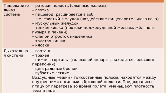 Пищеварительная система – ротовая полость (слюнные железы) Дыхательная система – глотка – гортань – трахея – пищевод, расширяется в зоб – железистый желудок (воздействие пищеварительного сока) – нижняя гортань (голосовой аппарат, находятся голосовые перепонки) – мускульный желудок – центральные бронхи – губчатые легкие - – тонкая кишка (протоки поджелудочной железы, жёлчного пузыря и печени) – слепой отросток кишечника Воздушные мешки - тонкостенные полосы, находятся между внутренними органами в брюшной полости. Предохраняют птицу от перегрева во время полета, уменьшают плотность тела птицы. Воздух идет всегда из задних воздушных мешков в легкие, из легких в передние мешки. – толстая кишка – клоака 